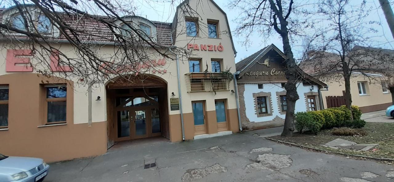 מלון Hódmezővásárhely Kenguru Panzio מראה חיצוני תמונה